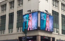 Luxury Travel Agent Travel Hub 365 Launches New Digital Ad Campaign