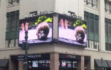 Luxury Travel Agent Travel Hub 365 Launches New Digital Ad Campaign