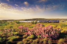 The Indian Pacific