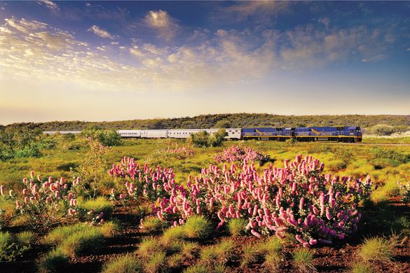 The Indian Pacific