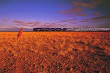 The Indian Pacific viewed by a kangaroo, Great Southern Rail