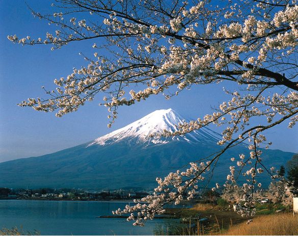 Mt Fuji
