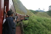 Train through tea plantations to Nuwara Eliya 