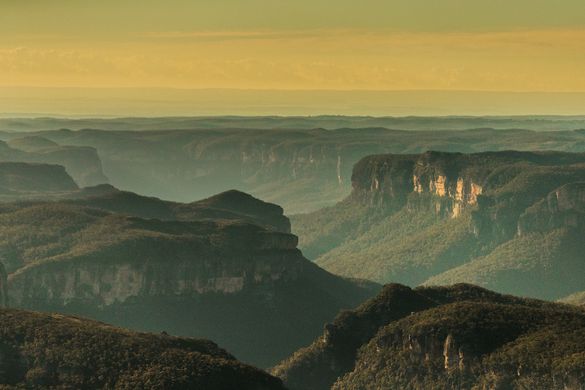 Blue Mountains National Park. Mandatory credit: Destination NSW