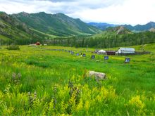 Terelj National Park, Mongolia