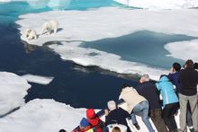 Jennifer Harvey - Jewels of the Arctic - July 2010 