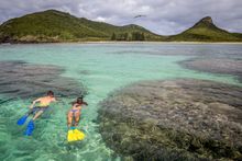 Snorkelling paradise on Lord Howe Island