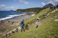 Walking up from the water, Lord Howe Island