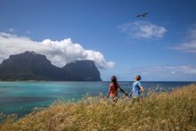 Bird watcher's paradise on Lord Howe Island