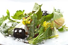 Danish food and gastronomy