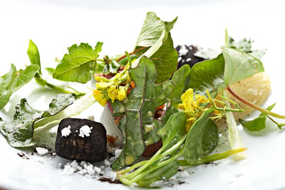 Danish food and gastronomy