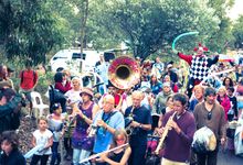 Fairbridge Festival