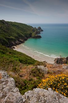 Guernsey 