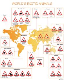 World's Exotic Animals