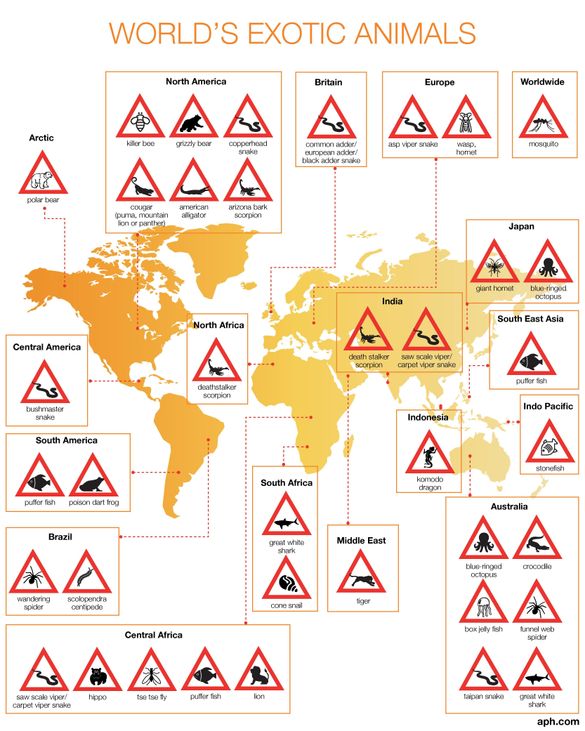 World's Exotic Animals