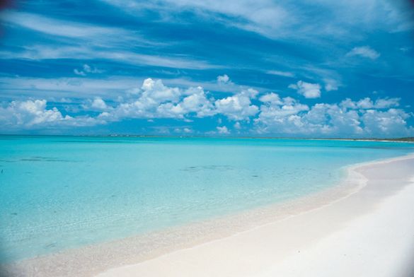 Barbuda beach