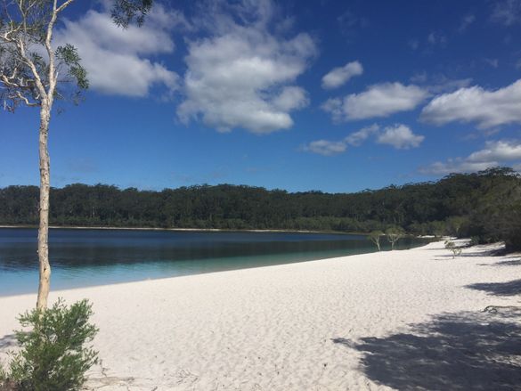 Lake McKenzie - one day after the storm