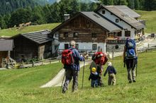 Almwanderung Sattelberg