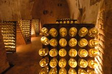 Bottles In Cellar 