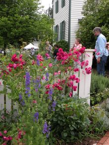 See beautiful public and private gardens during the 2017 Hillsborough, NC Spring Garden Tour on May 20-21.