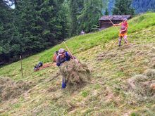 Heuarbeit in der Schule der Alm