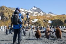 Photography in South Georgia (Gold Harbour) with Aurora Expeditions
