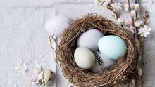 NUO's Gourmet Easter