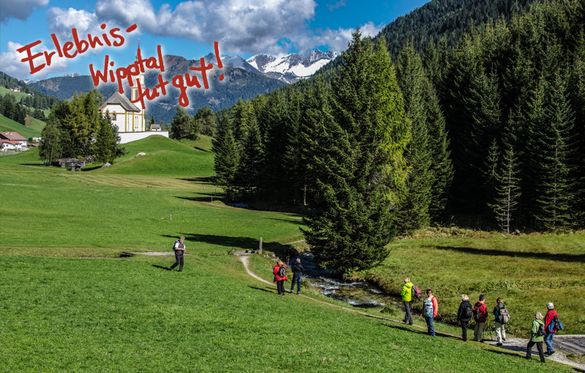 Gesundheitswanderun im Obernbergtal