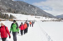 Gesundheitswandern im winterlichen Gschnitztal