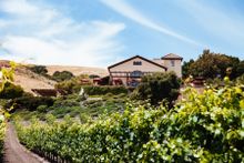 Enjoy an elevated tasting at Gloria Ferrer Winery.