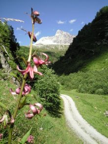 Weg zur Geraer Hütte im Bergsteigerdorf Vals