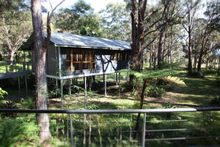 Diamond Waters Treehouse Retreat