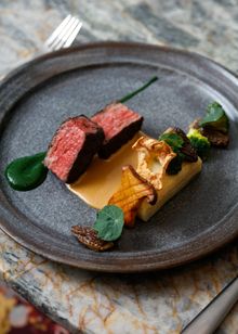 Botanist - Wagyu Beef