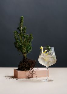 Botanist - Botane & Tonic