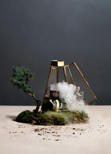 Botanist - Candy Cap Mushroom Cocktail