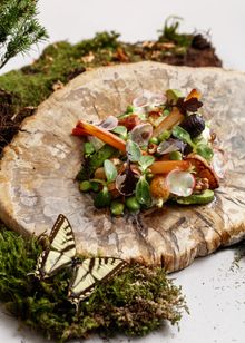 Botanist - Root Vegetables