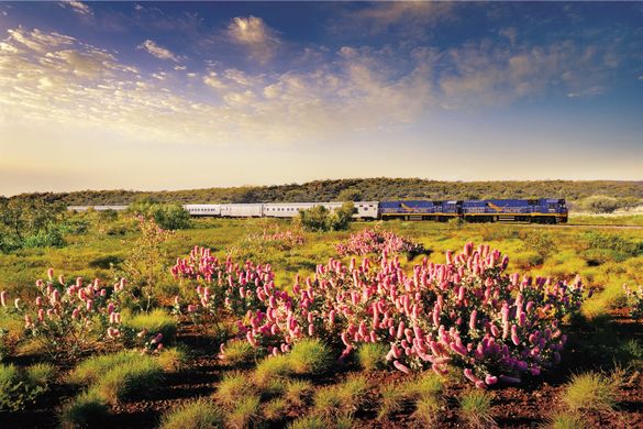 The Indian Pacific