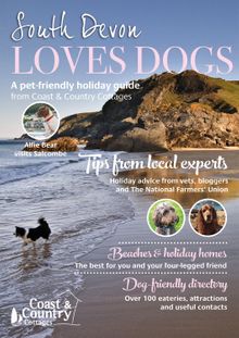 South Devon Loves Dogs
