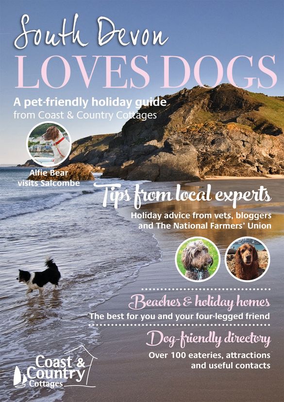 South Devon Loves Dogs South Devon Loves Dogs