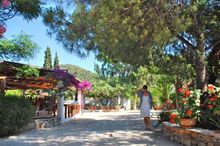 Skyros Holidays