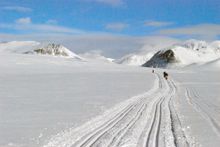 Norwegian Winter Delights