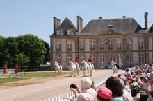 Haras du Pin