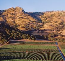 Stag's Leap Vineyards