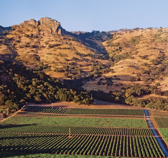 Stag's Leap Vineyards