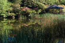 Lake with rotunda viewed from pathway - National Rhododendron Garden