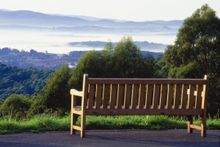 Dawn View from Serenity Point - National Rhododendron Garden