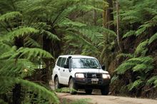 4WD Rainforest