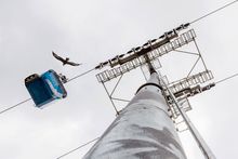 An eagle alongside The Eagle