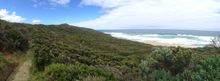 Great Ocean Walk 