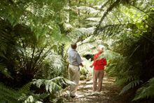 Yarra Ranges National Park